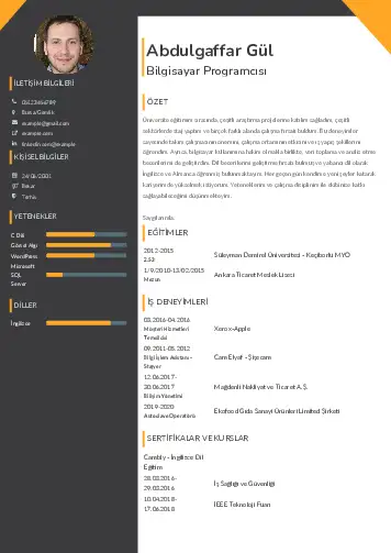 Bilgisayar Programcısı CV Örnekleri cv indir